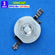 HPL 3W Led 435nm 440nm Biru Royal Blue Lampu Led Phyto Lamp Tanaman Coral Fotosintesis Tanning Akuarium Aquascape Hidroponik Strobe Taiwan