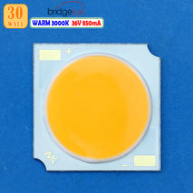 COB 1919 LED 3000K 3200K 20W 30W 36V Warm White Lampu Sorot Tembak Display Baca Taman SpotLight Downlight Brightlux