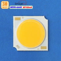 COB 1919 20W LED Moon 4000K 4200K 30W 36V Lampu Led Rel Rell Track Cahaya Bulan Display Plafon Studio Par Sorot Baca Spot Down light Brightlux
