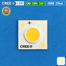 CREE COB 11W CXA1304 36V 5000K LED CXA 1304 Photo Studio 80 CRI 250mA
