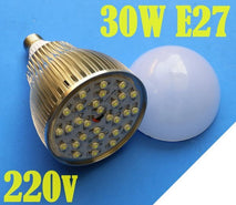 Lampu LED 30W WHITE 30x 1W Fitting E27 3000LM AC.220V EpiStar -CG-