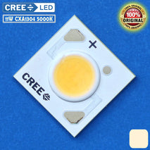 CREE COB 11W CXA1304 36V 5000K LED CXA 1304 Photo Studio 80 CRI 250mA